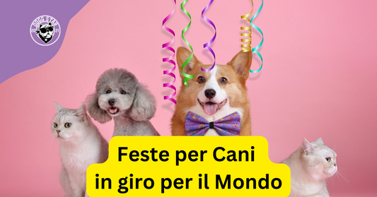 Le Diverse Tradizioni delle Feste per Cani in Giro per il Mondo.