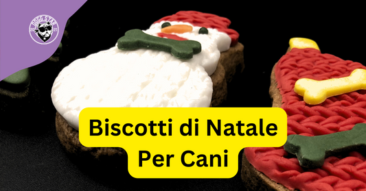Biscotti Decorati Natalizi per Cani: Un Regalo Speciale per il Tuo Amico a Quattro Zampe