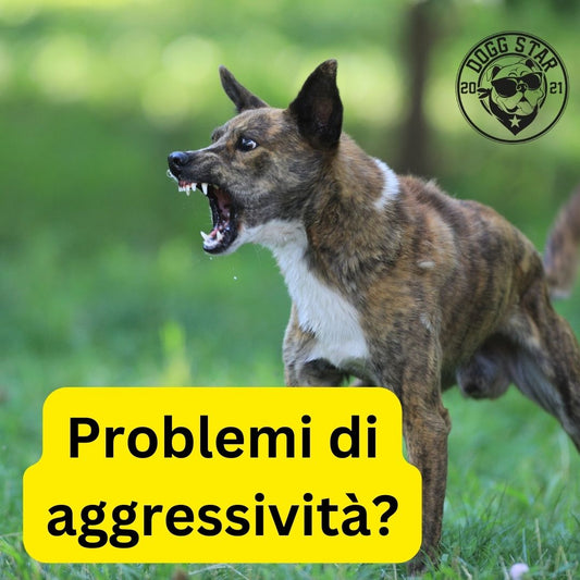 Problemi di aggressività? La guida di Dogg Star