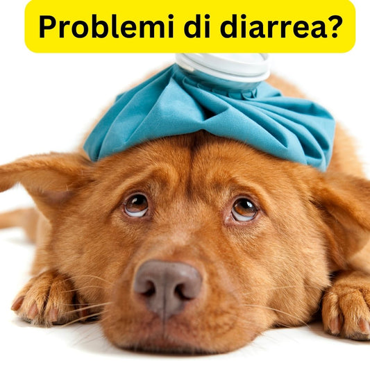 Problemini di diarrea?