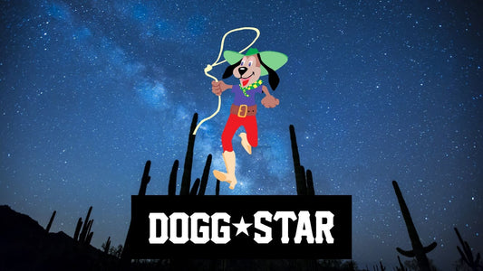 Stelle e Strisce : Nomi Western 2