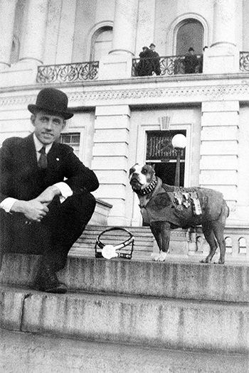 Cani negli scenari di guerra. Storie americane: Il Sergente Stubby, prima guerra mondiale.