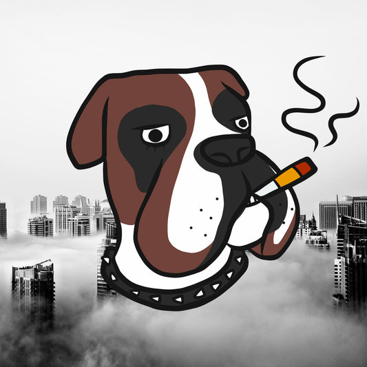Cani "strafatti" a NY.