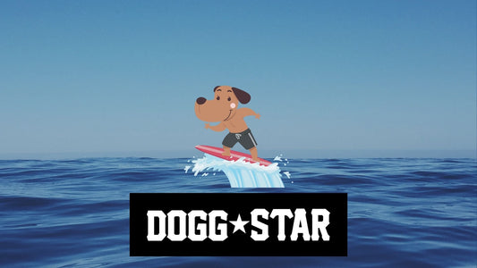 Bizzarro ma Vero....o per lo meno verosimile. Dogsurf!