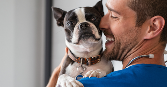 Le 20 frasi d'amore più belle sui cani