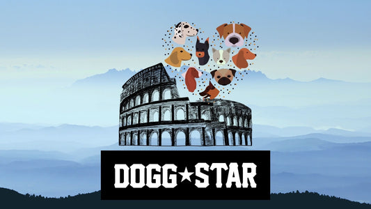 Nomi suggestivi per il tuo cane...Imperatori Romani