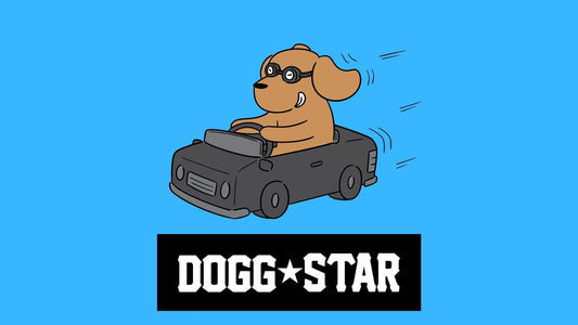 Bizzarro ma Vero....o per lo meno verosimile. Guidi da cani!