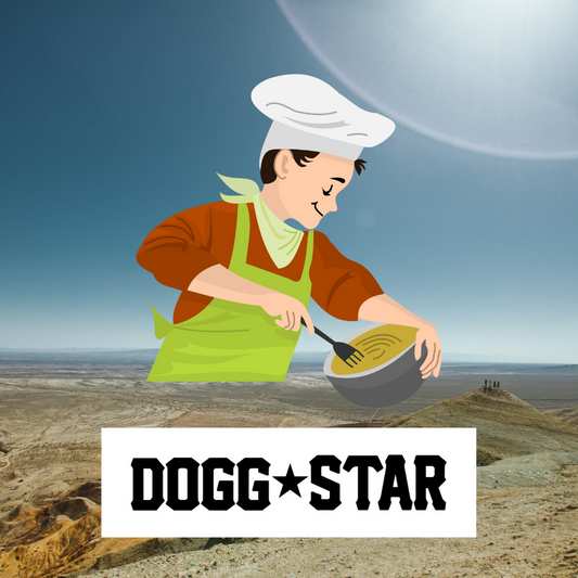 Ricette interessanti trovate in giro per il mondo. Torta per cani ricetta veloce Dogg Star / Spagna 2