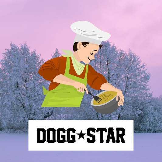 Ricette interessanti trovate in giro per il mondo.Torta per cani ricetta veloce Dogg Star / Svezia 2