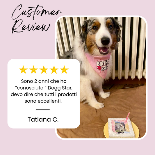 Torte per Cani Dogg Star: Delizie di Compleanno per i Nostri Amici a Quattro Zampe