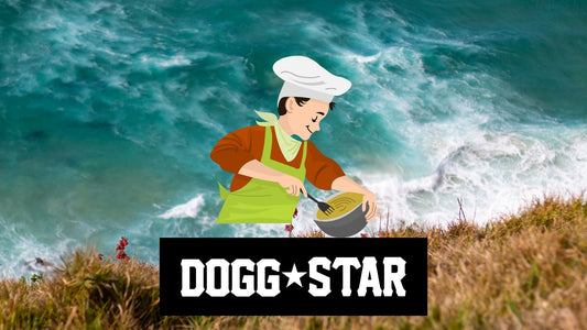 Ricette interessanti trovate in giro per il mondo. Torta per cani ricetta veloce Dogg Star / Brasile 4