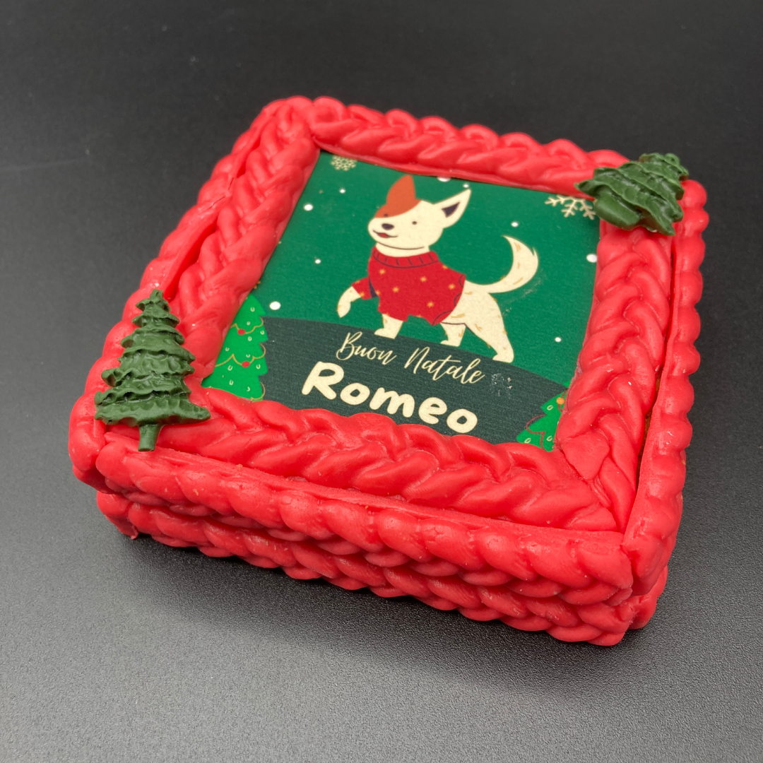 Torta Per Cani Buon Natale