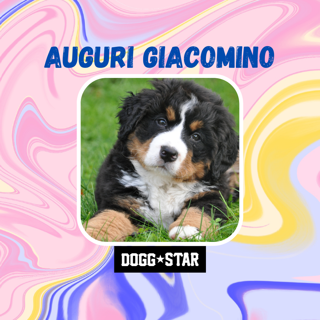 Fotogenica Torta Per Cani CON FOTO e NOME