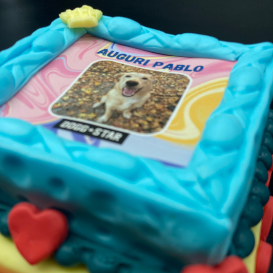 Incanto per Lui Personalizzabile CON FOTO, Torta Per Cani Superiore