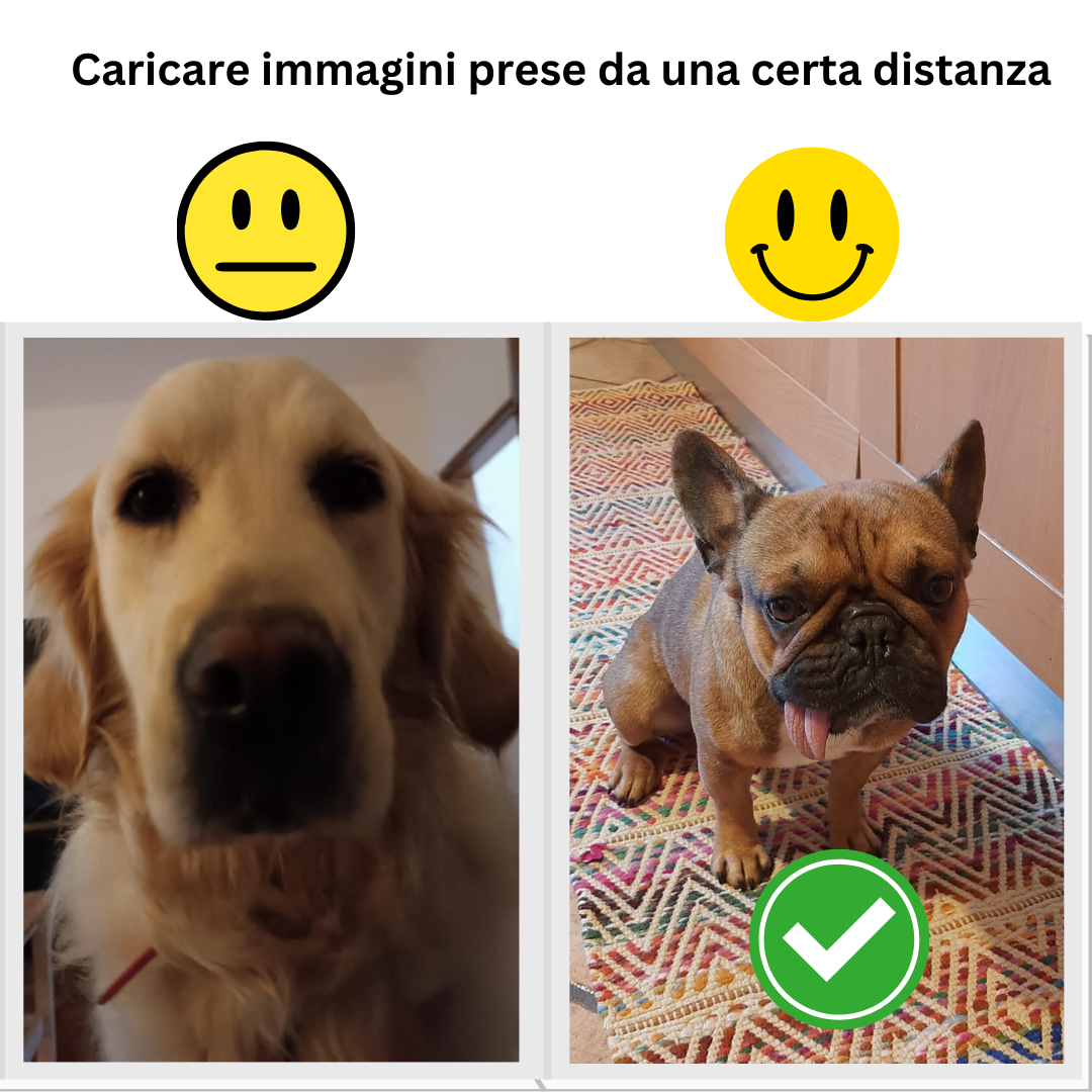 Incanto per Lei Personalizzabile CON FOTO, Torta Per Cani Superiore