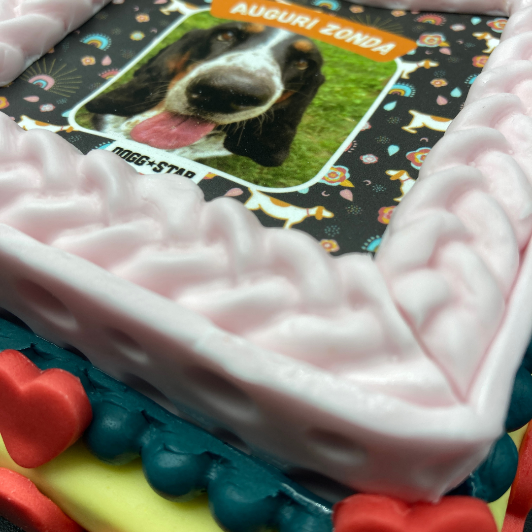 Incanto per Lei Personalizzabile CON FOTO, Torta Per Cani Superiore
