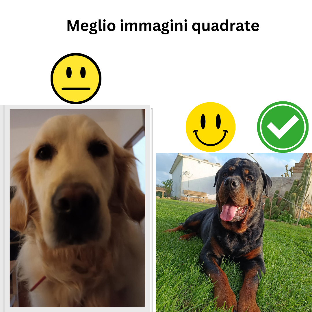 Incanto per Lei Personalizzabile CON FOTO, Torta Per Cani Superiore