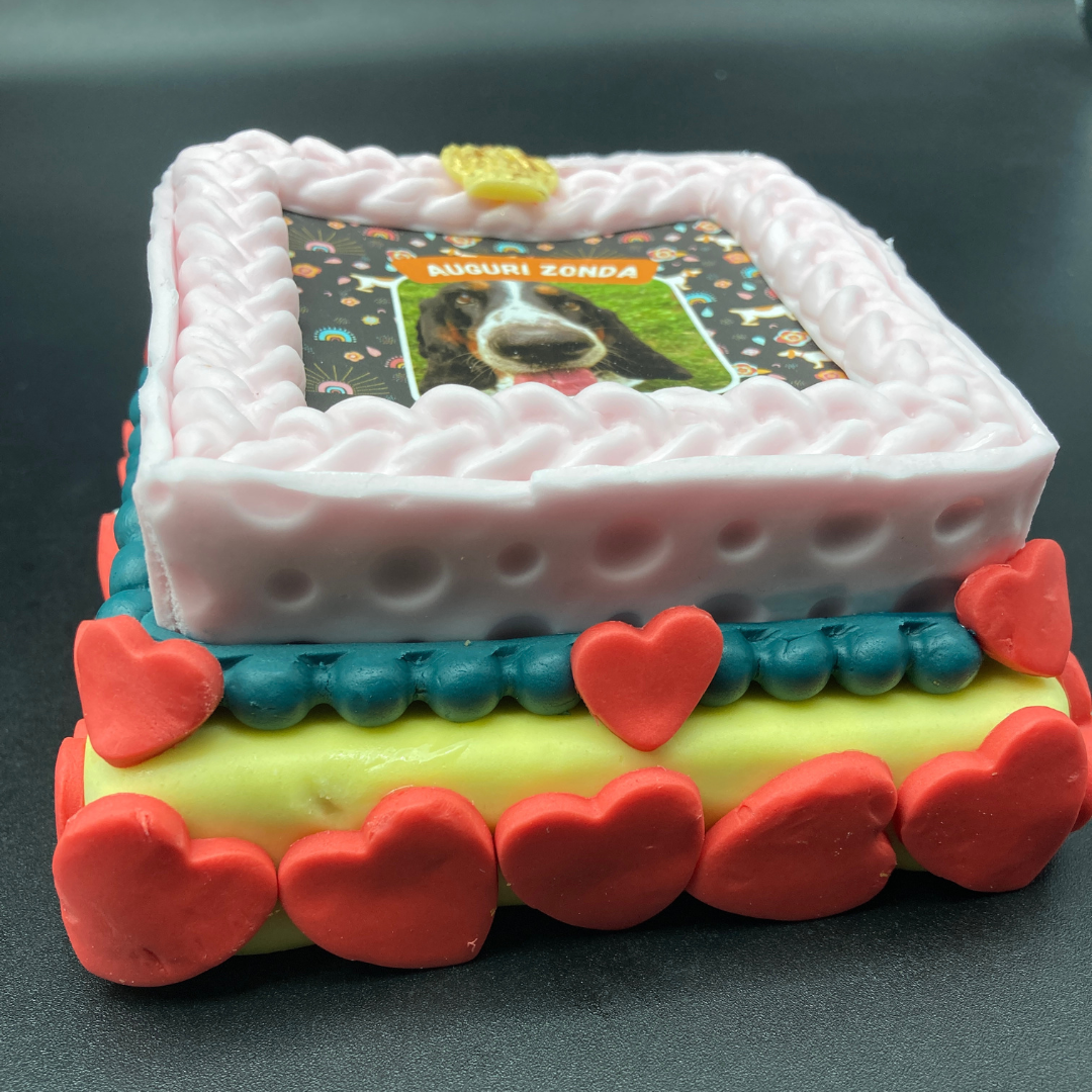 Incanto per Lei Personalizzabile CON FOTO, Torta Per Cani Superiore