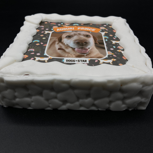 Fotogenica 2 Torta Per Cani CON FOTO e NOME
