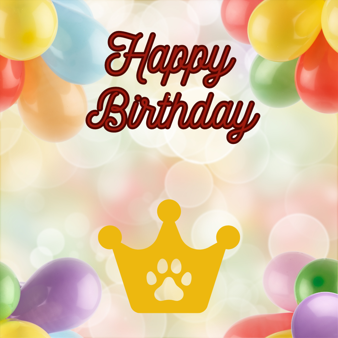 Incanto per Lui Personalizzabile, Torta Per Cani Superiore