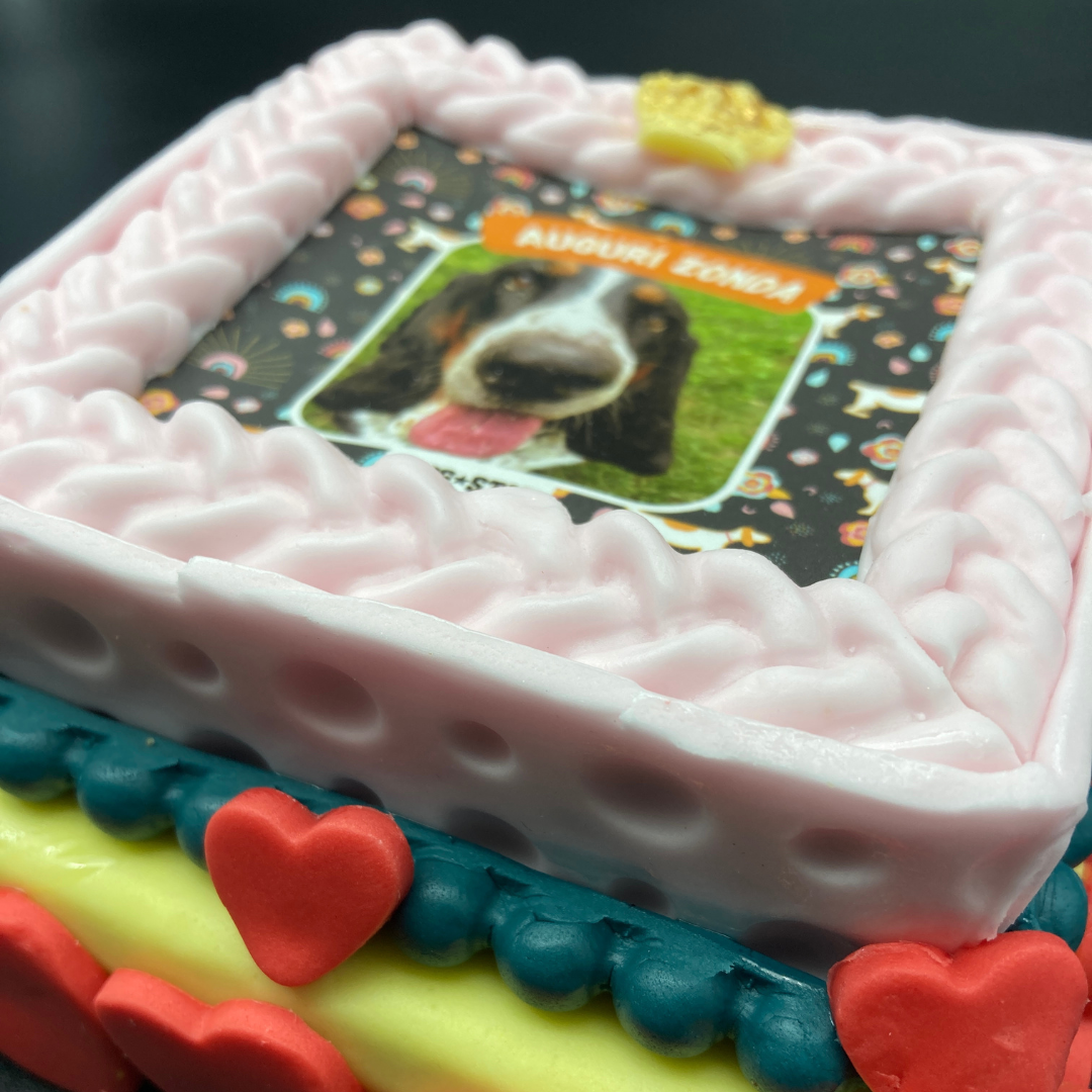 Incanto per Lei Personalizzabile CON FOTO, Torta Per Cani Superiore
