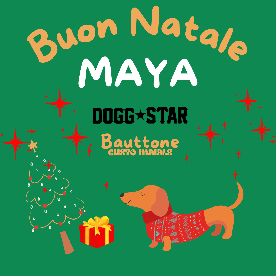 Bauttone Personalizzabile - Panettone Per Cani