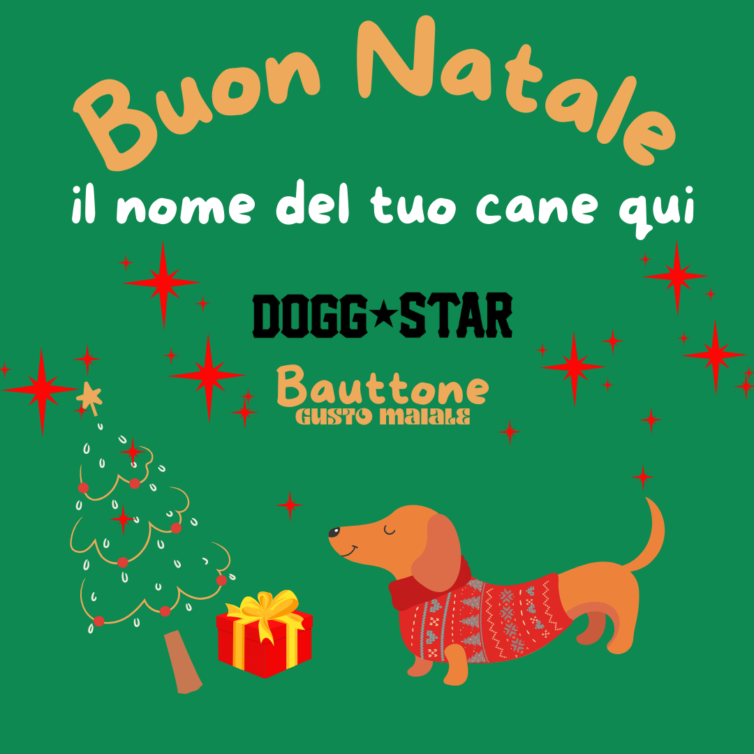 Bauttone Personalizzabile - Panettone Per Cani
