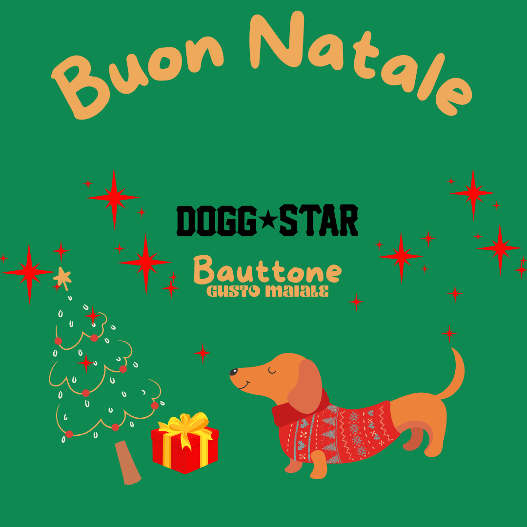 Bauttone Personalizzabile - Panettone Per Cani