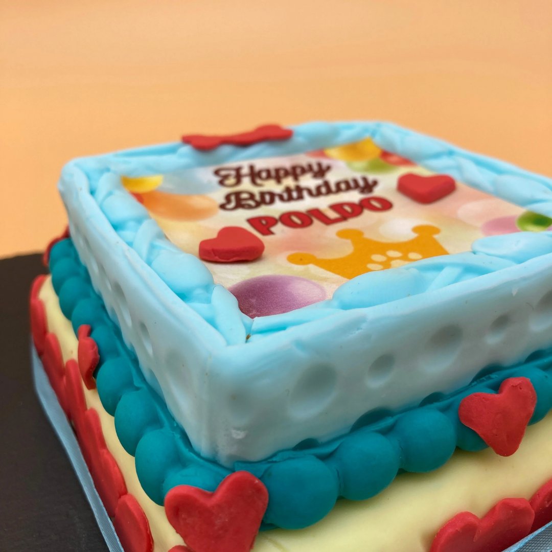 torta per cani