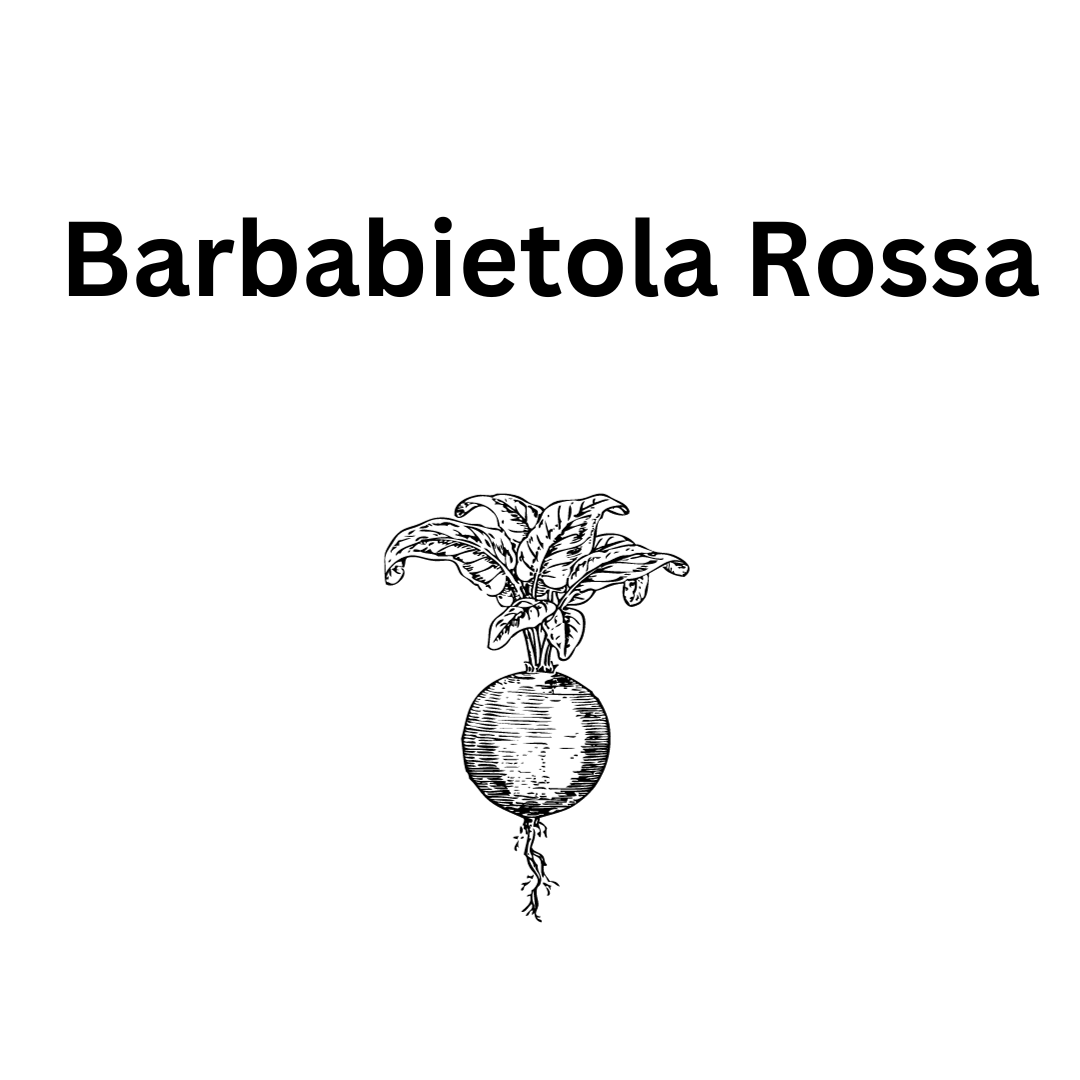 Biscotti Per Cani Natalini