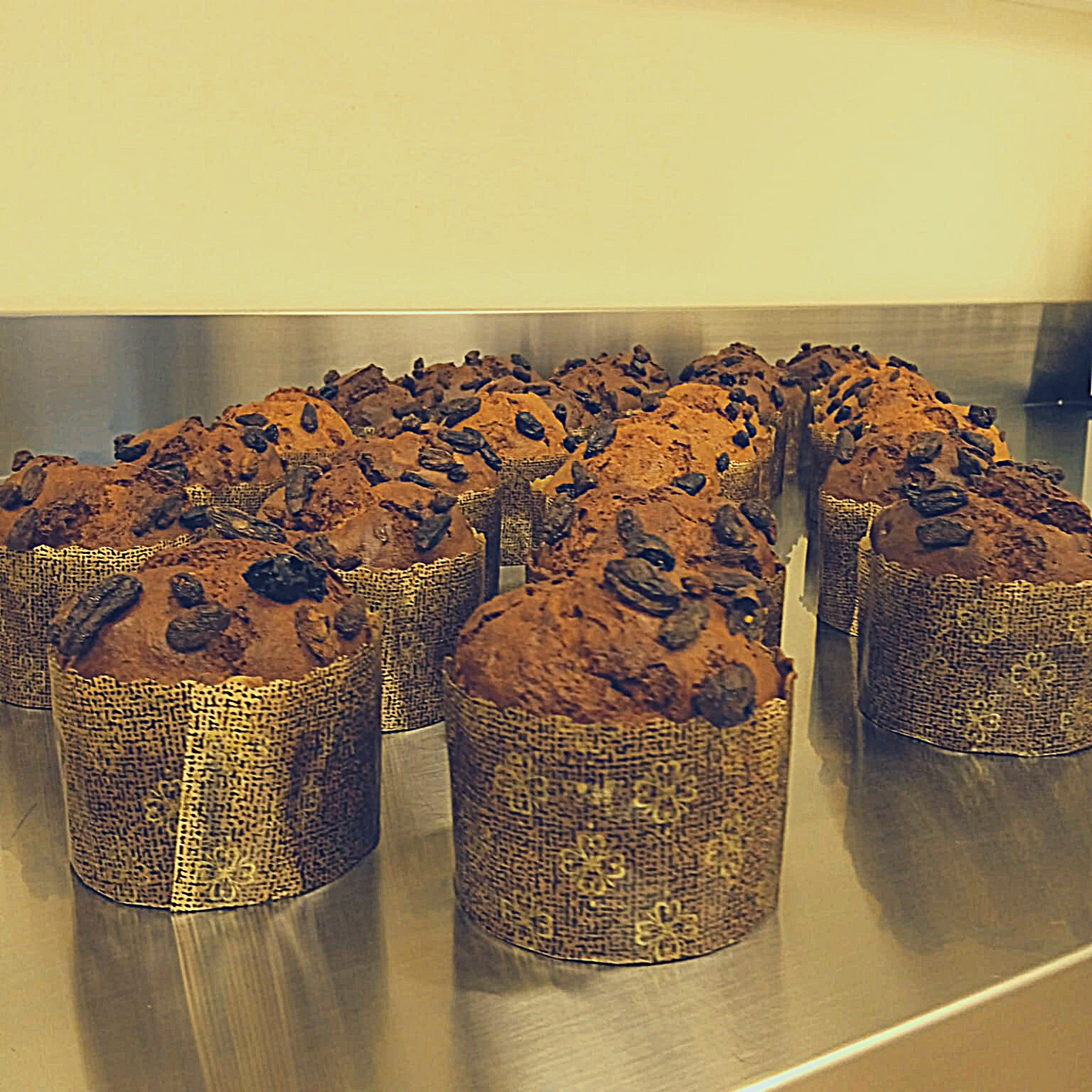 Bauttone il Panettone Per Cani