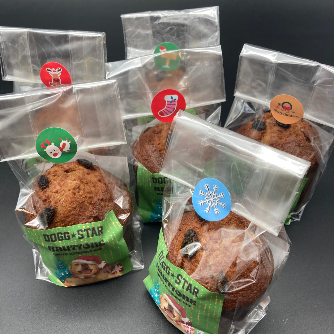 Bauttone il Panettone Per Cani