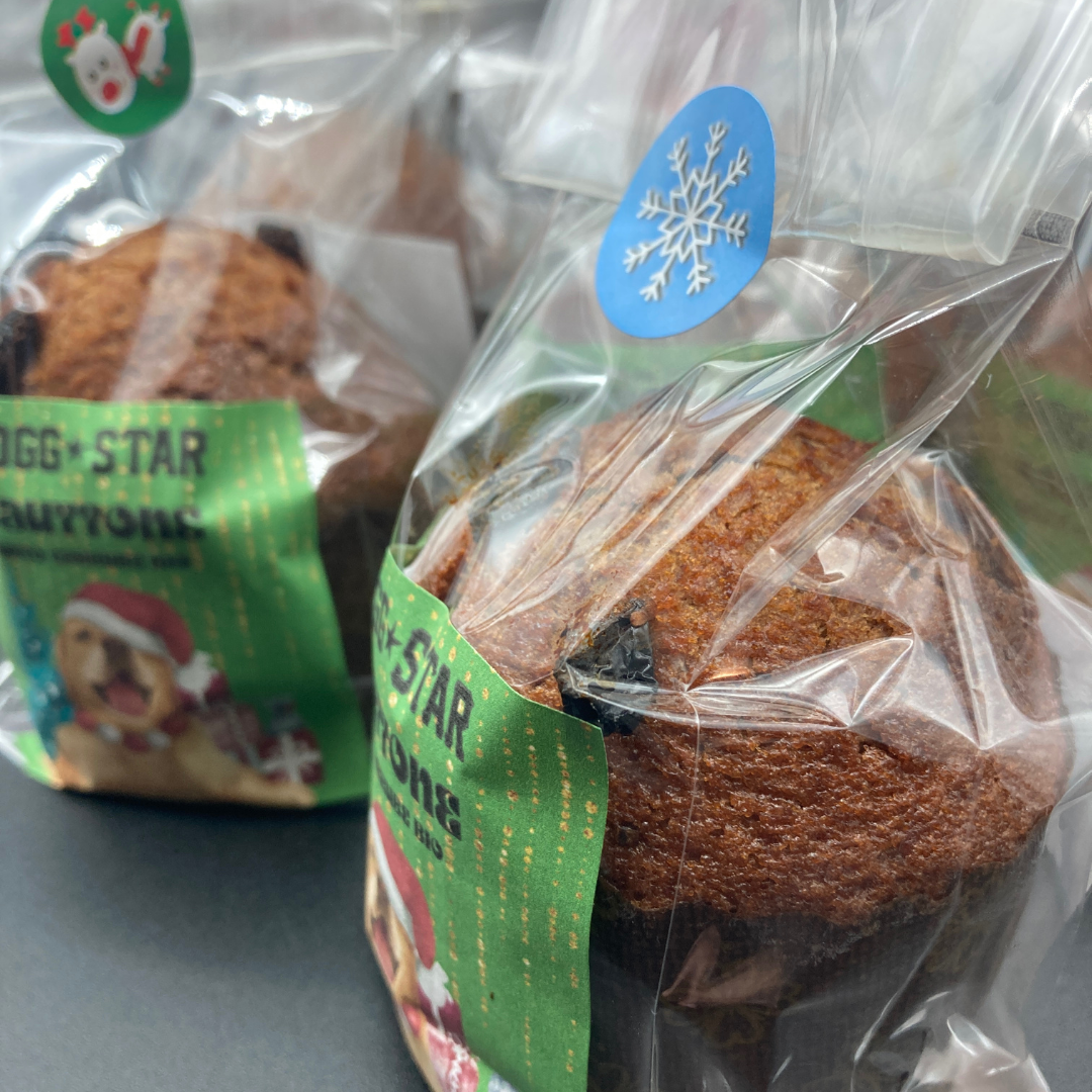 Bauttone il Panettone Per Cani