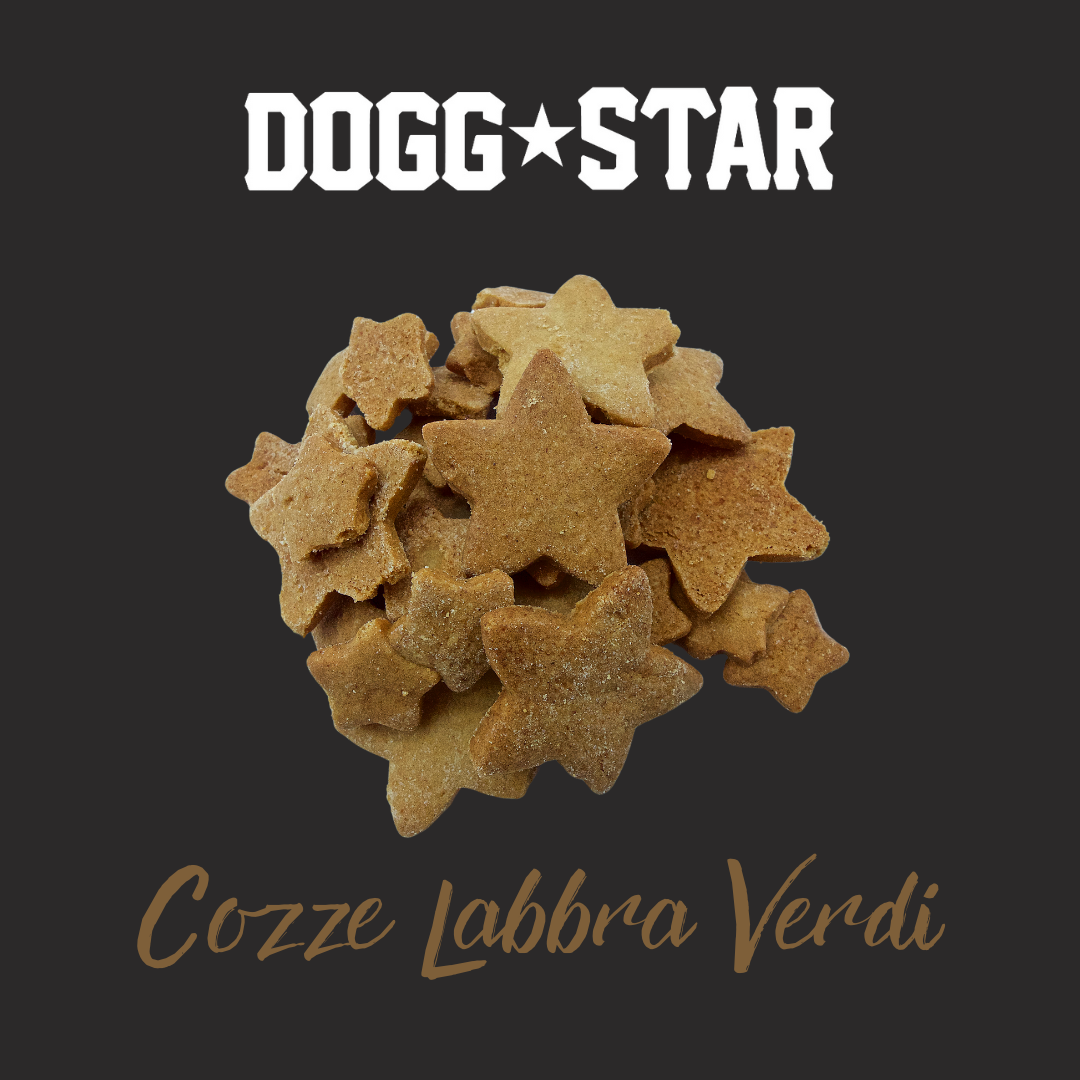 Can Di Stelle | Biscotto Per Cani