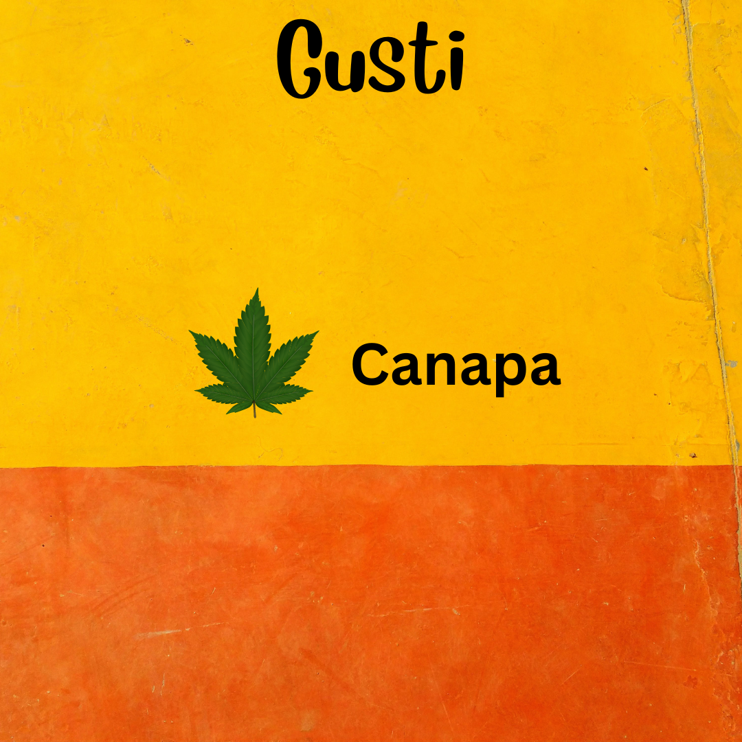 Rulez Personalizzabile, Torta Per Cani Spaziale