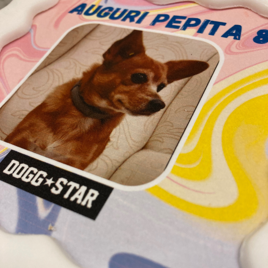 torta per cani