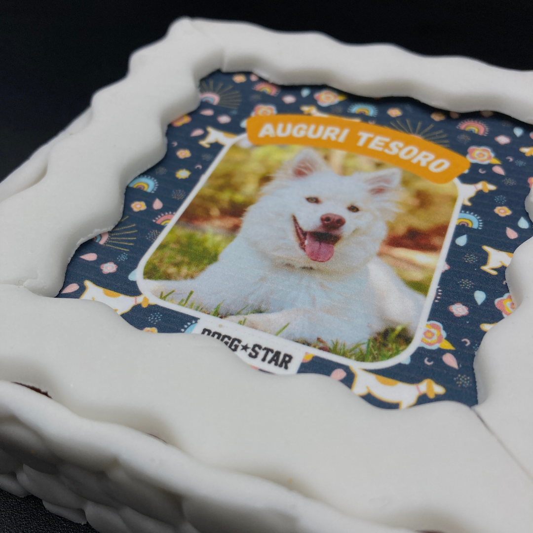 torta per cani