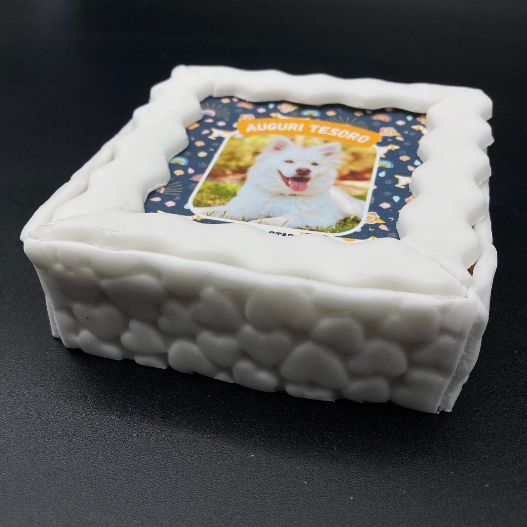Fotogenica 2 Torta Per Cani con Fotografia e Messaggio