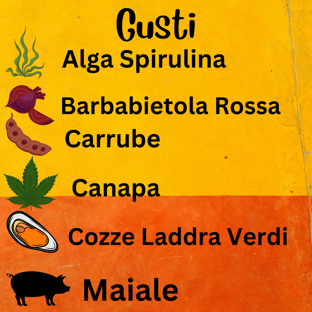 Torta Per Cani My Dog Cool