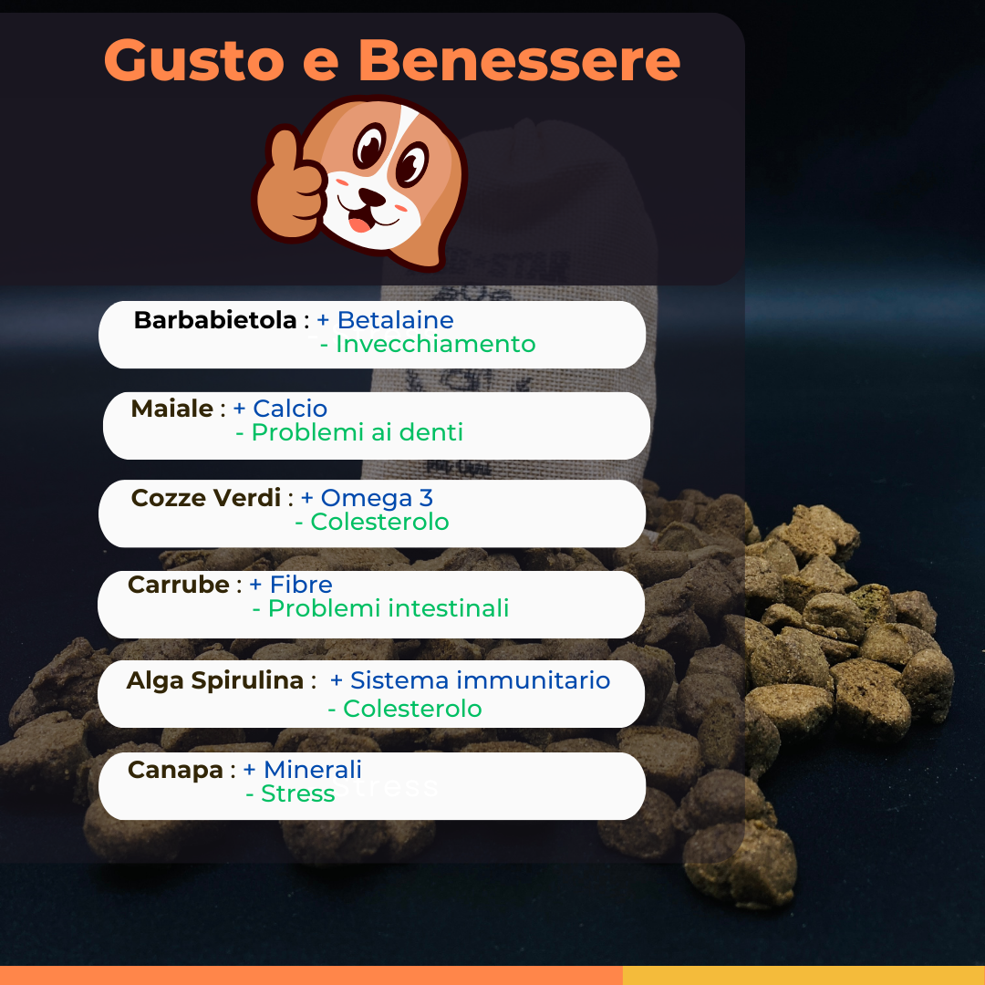Torta Per Cani Ti Vogliamo Bene Personalizzabile
