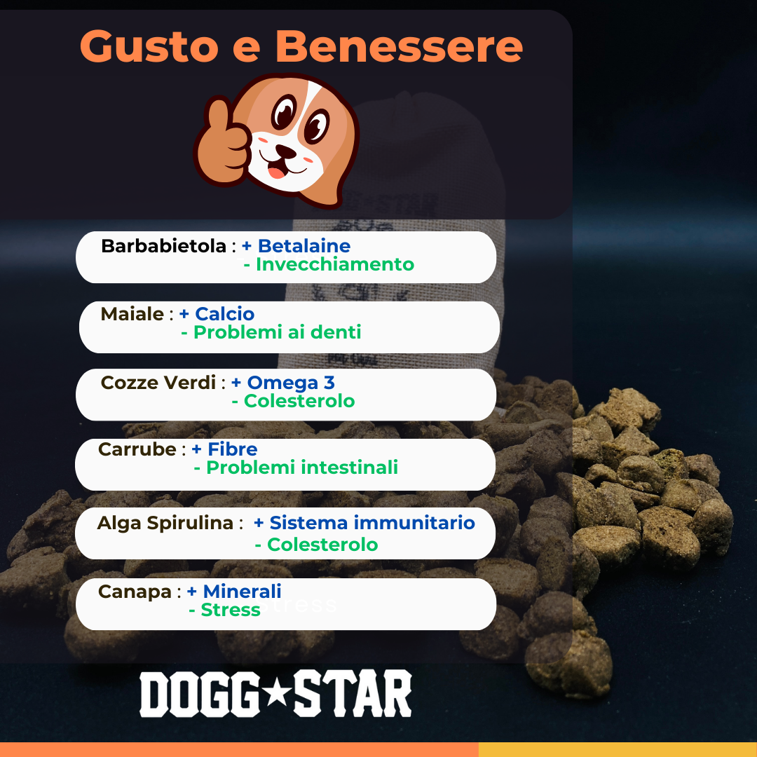 Fotogenica Torta Per Cani CON FOTO e NOME