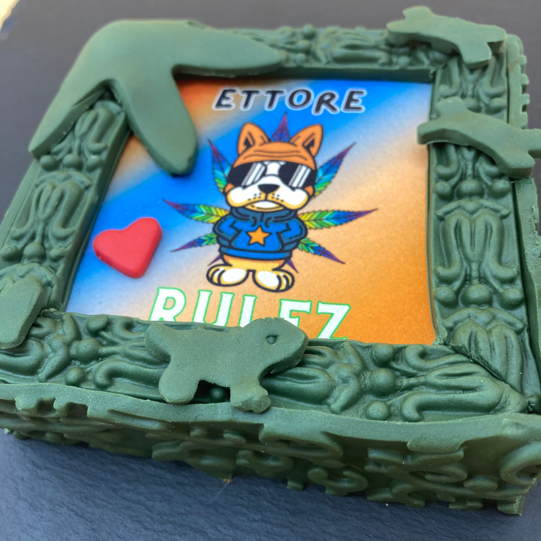 Rulez Personalizzabile, Torta Per Cani Spaziale
