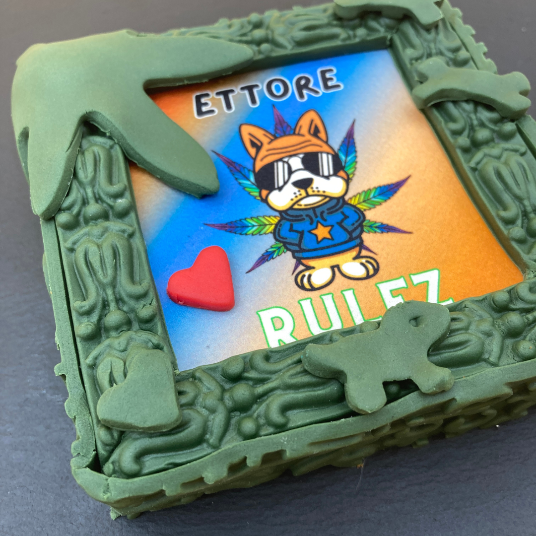 Rulez Personalizzabile, Torta Per Cani Spaziale