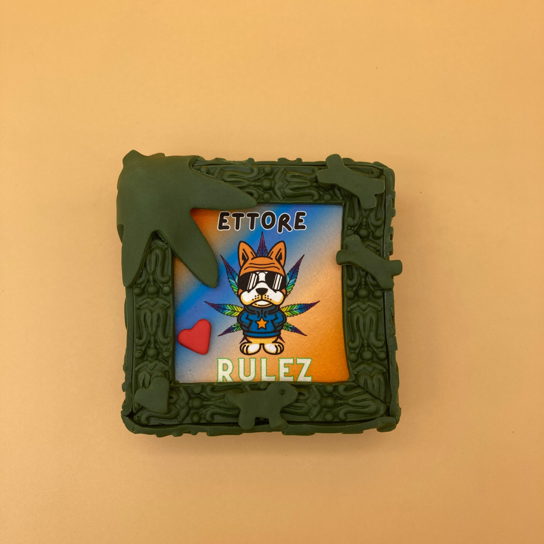Rulez Personalizzabile, Torta Per Cani Spaziale