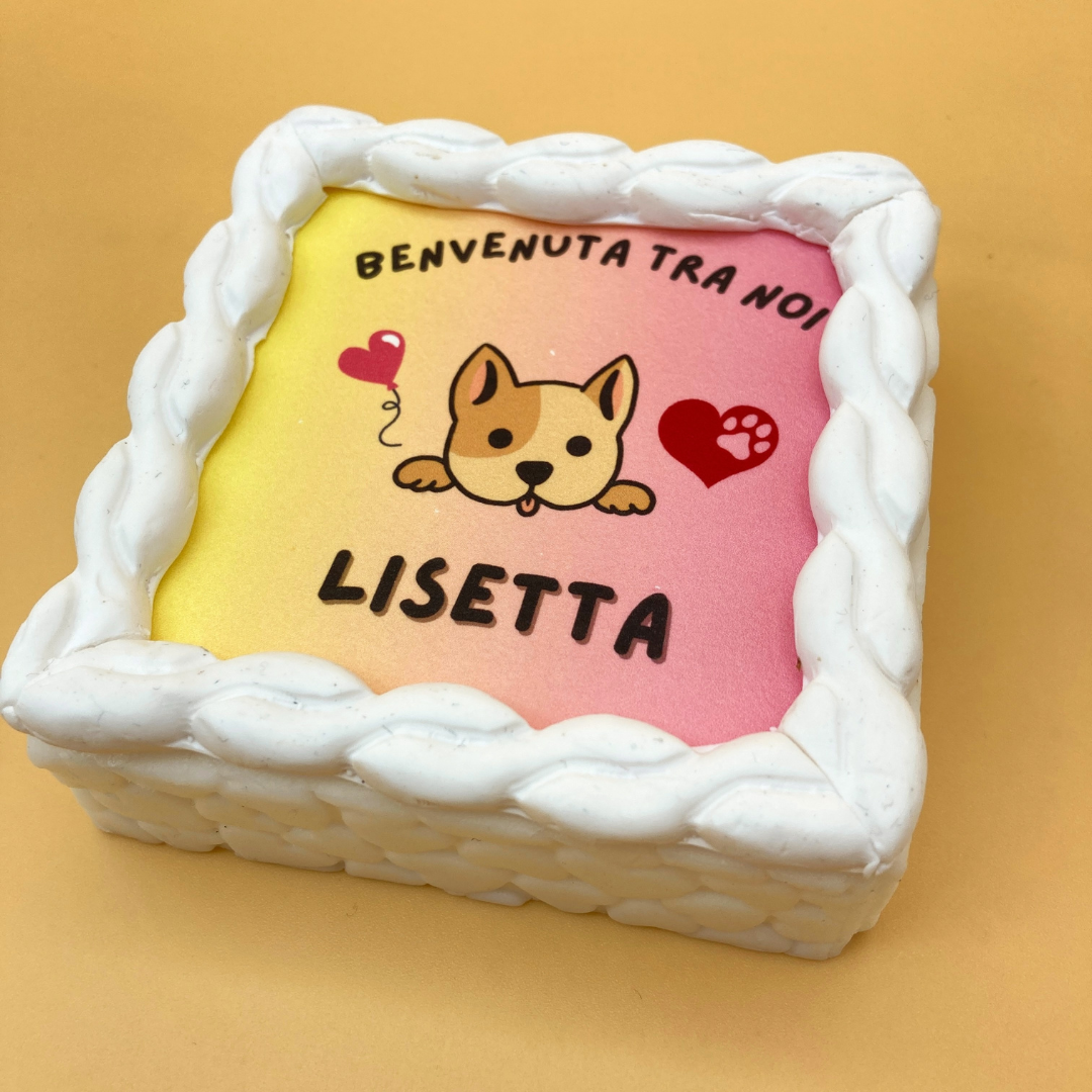 Torta Per Cani Benvenuta Tra Noi Personalizzabile