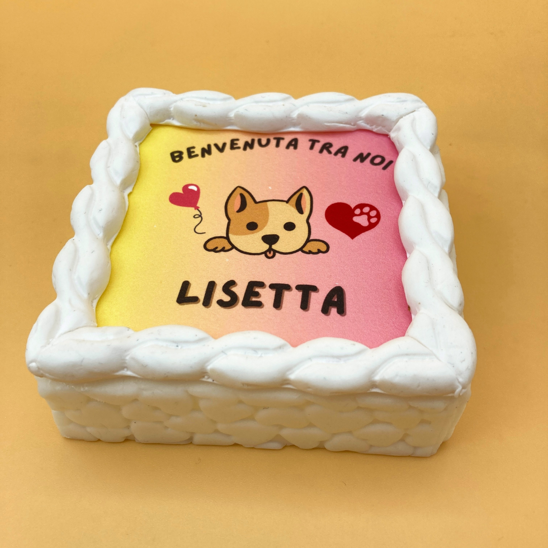 Torta Per Cani Benvenuta Tra Noi Personalizzabile