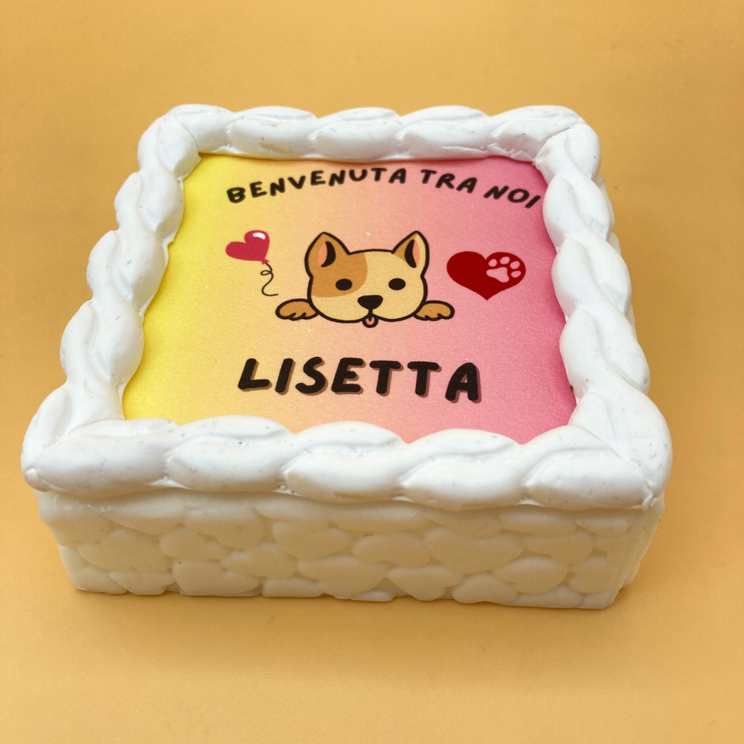 Torta Per Cani Benvenuta Tra Noi Personalizzabile