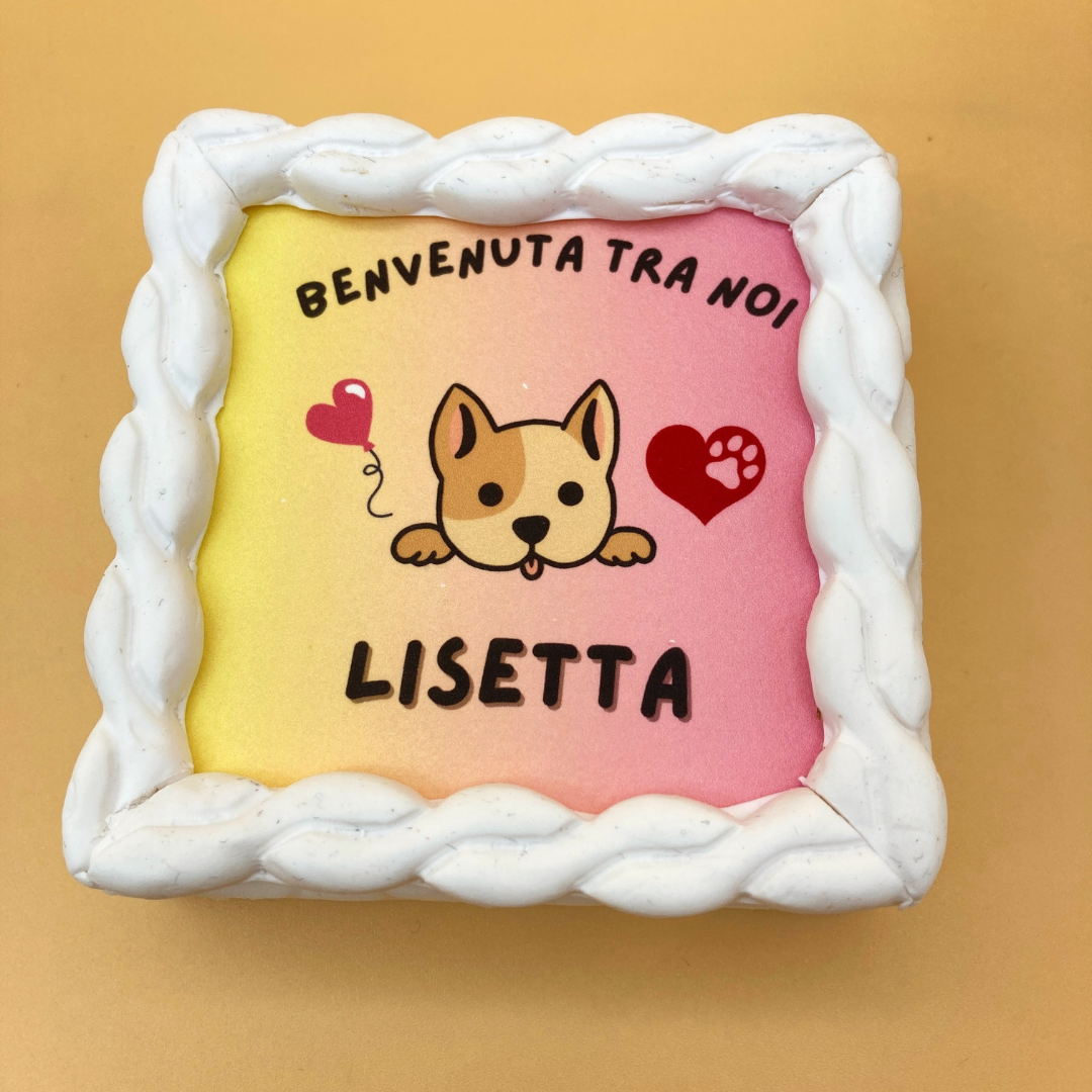 Pasticceria Per Cani Dogg Star  Torta Per Cani: Benvenuta Tra Noi  Personalizzabile