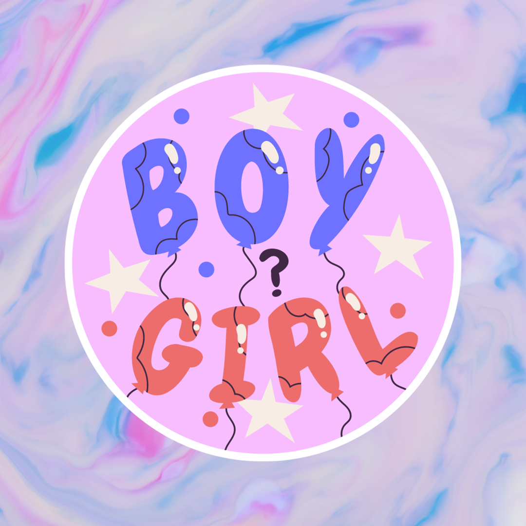 Torta per Cani Gender Reveal 3