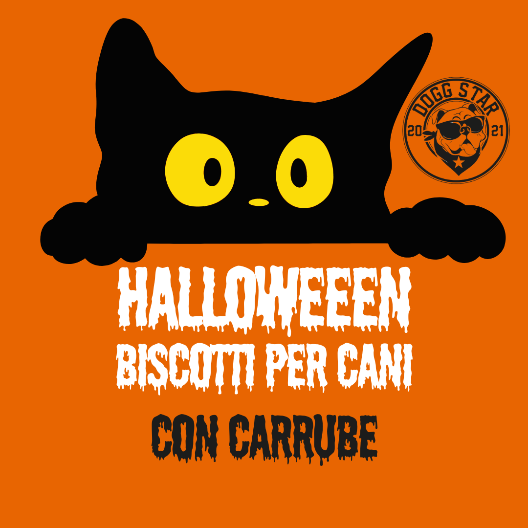Biscotti Decorati per Cani - Halloween